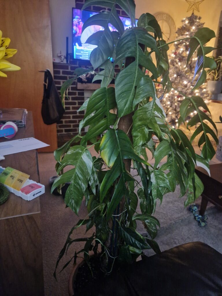 What is happening here