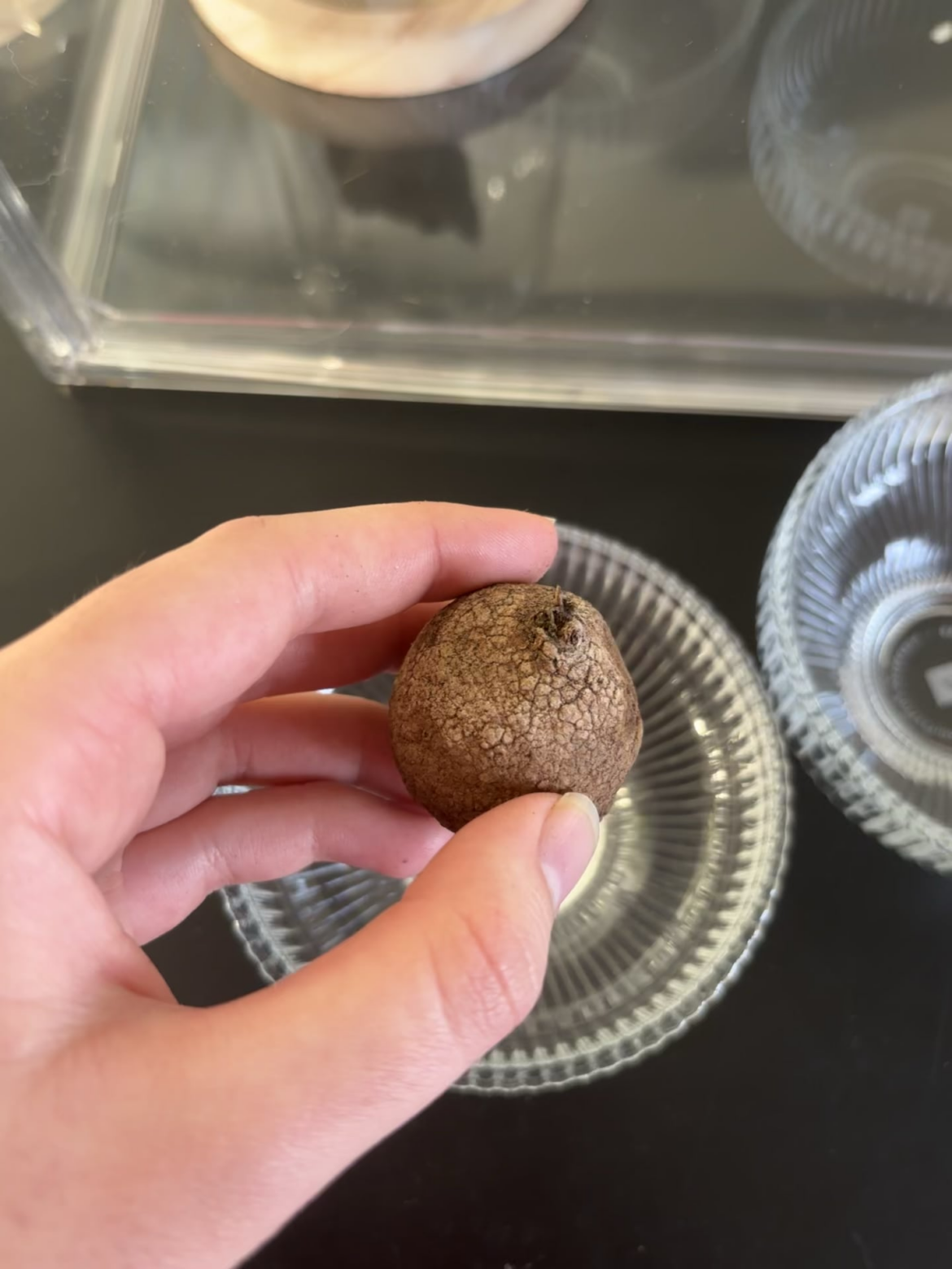 Stephania erecta help