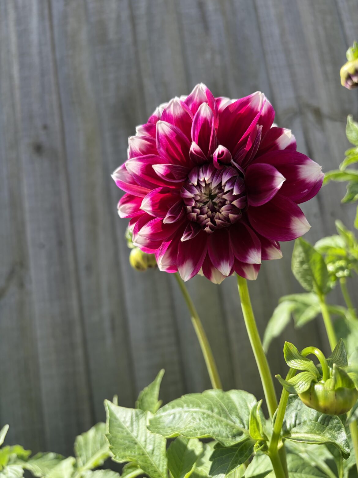 My first of the season.