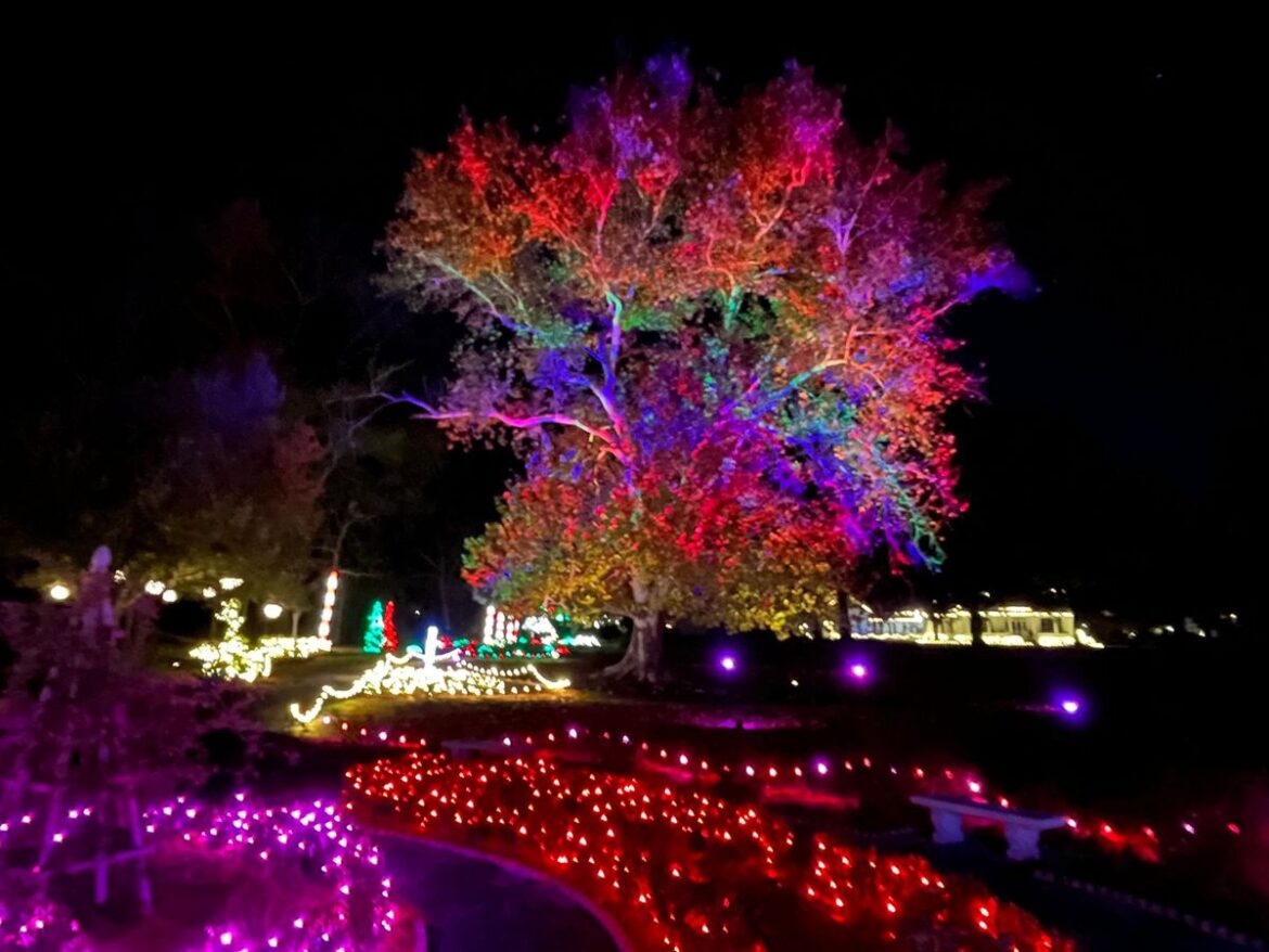 The Holiday Garden Glow at the Madison Station Botanic Gardens