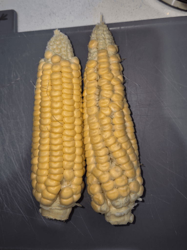 Did I pick the corn too soon?