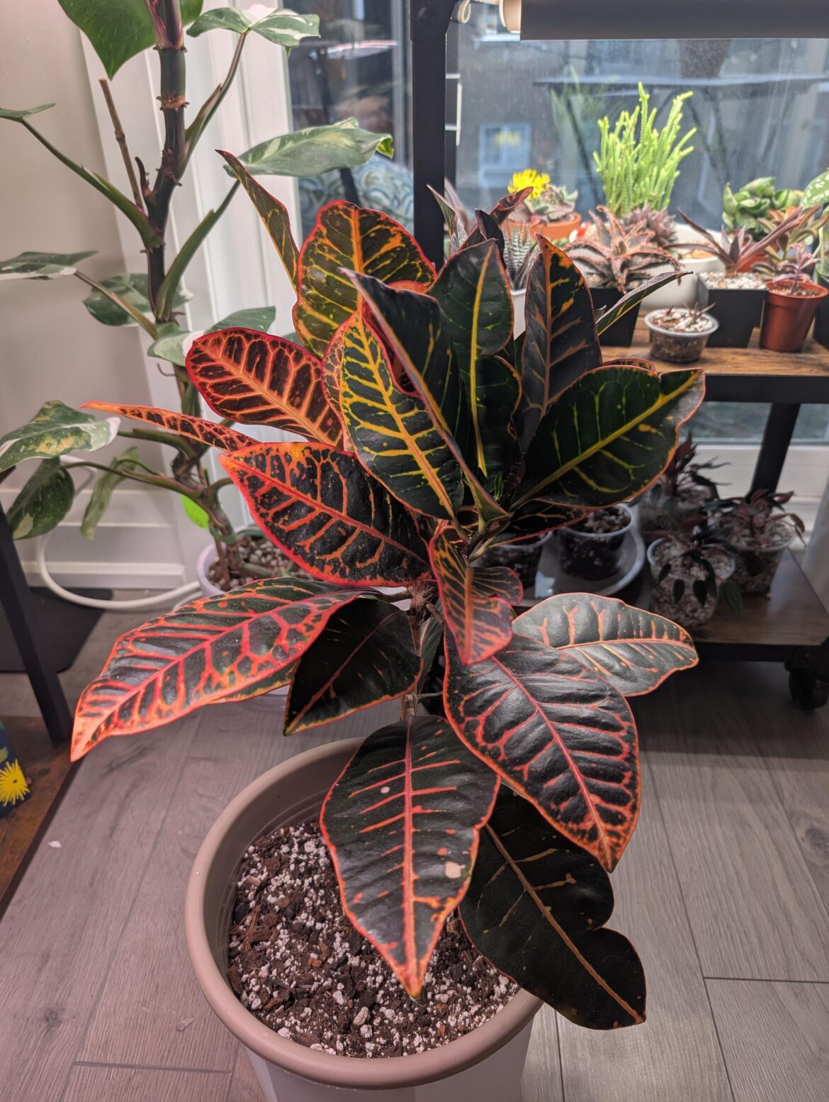 Turns out plants taught me more than I expected