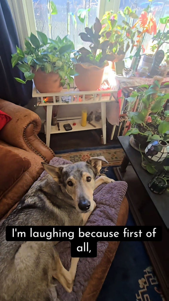 Of course you get it 🪴