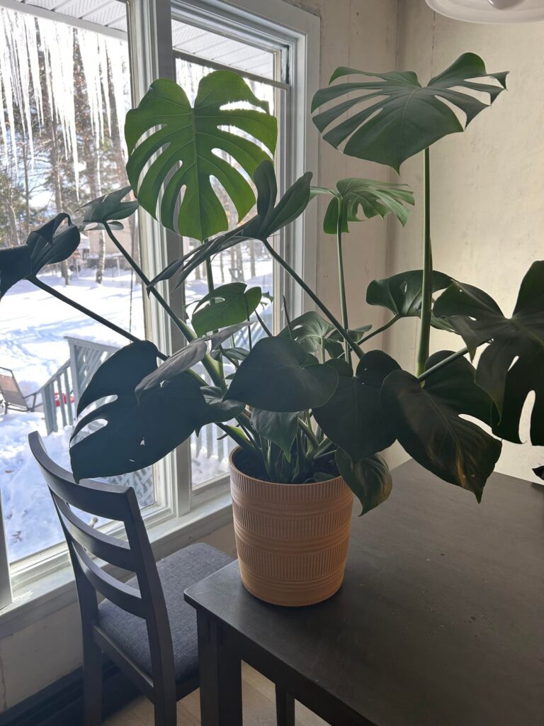 Should I be doing something?