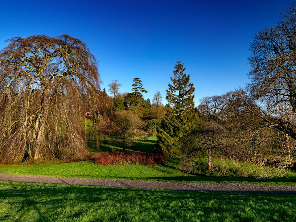 Gardens at Florence Court, County Fermanagh, Northern Ireland (Alamy/PA)