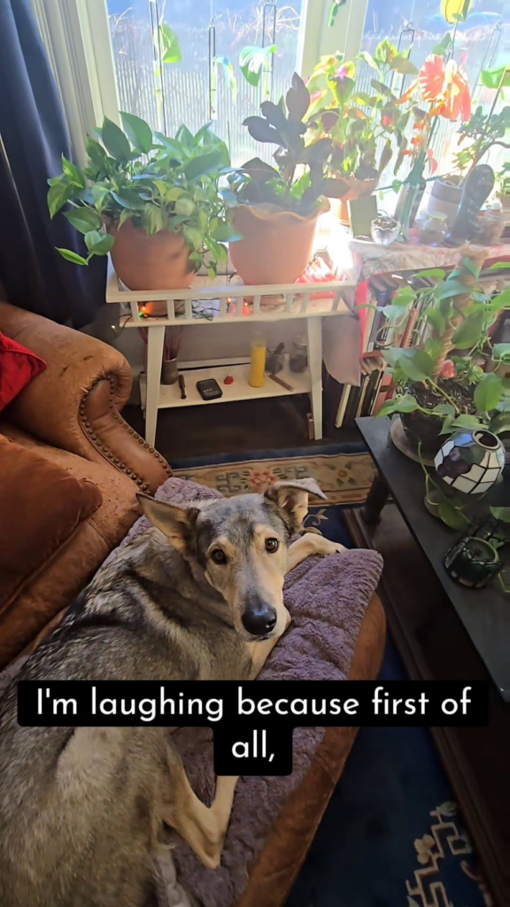 Of course you get it 🪴