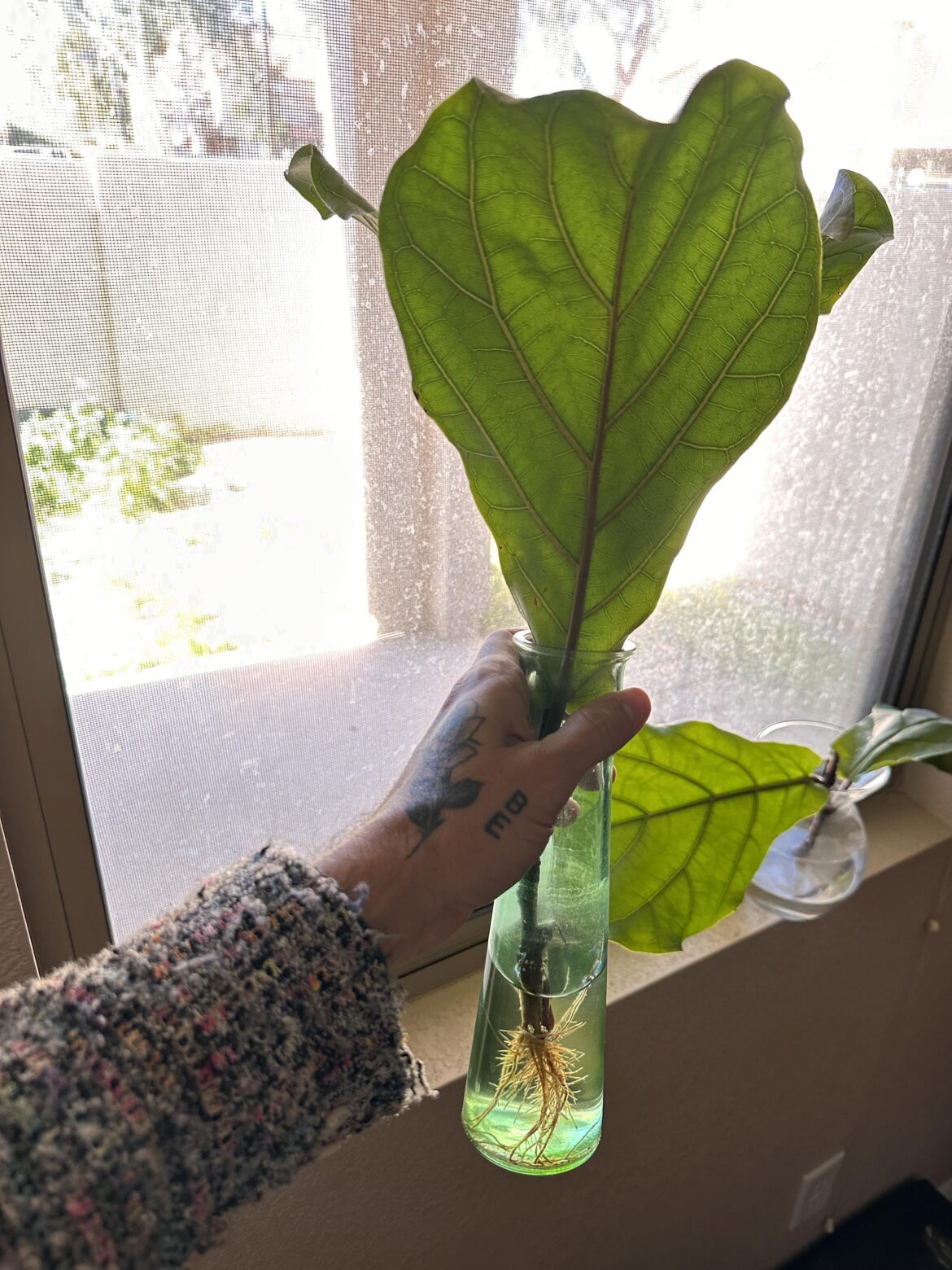 Propagation question