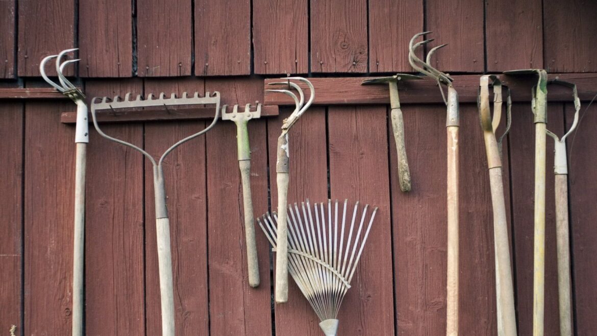 An expert look at garden tools to service in December