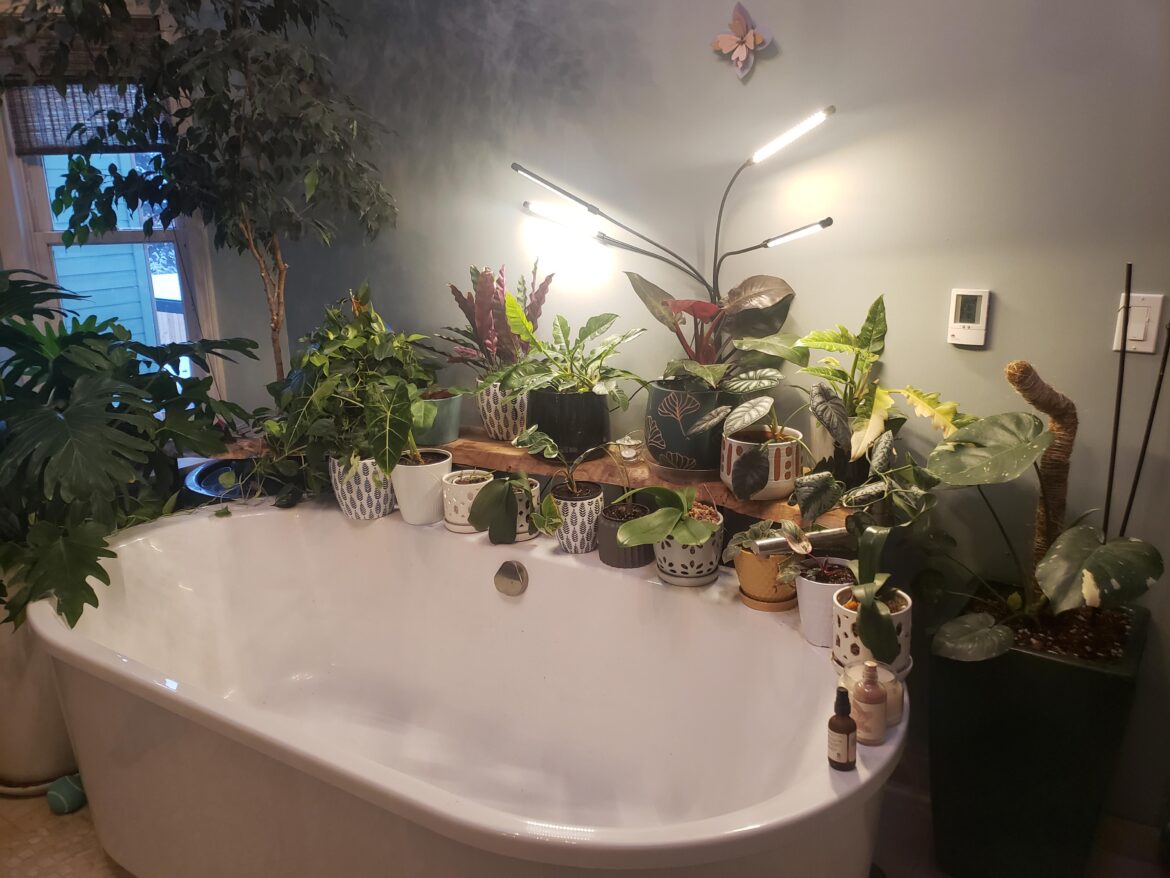 My happy place