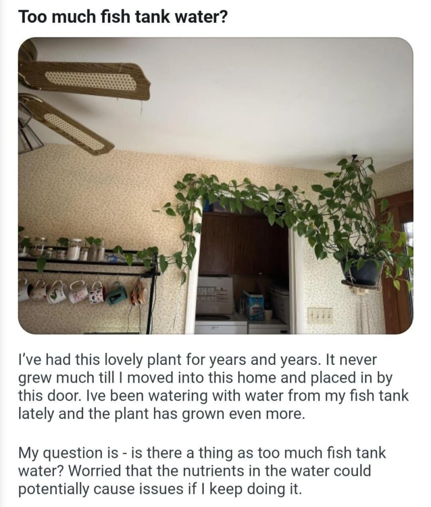 Will she die if I give her what she needs?