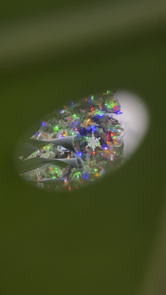 Merry Monstera 🎄🌿