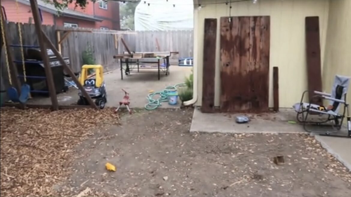 One TikTok user spent years transforming a monoculture lawn into a stunning dream garden.