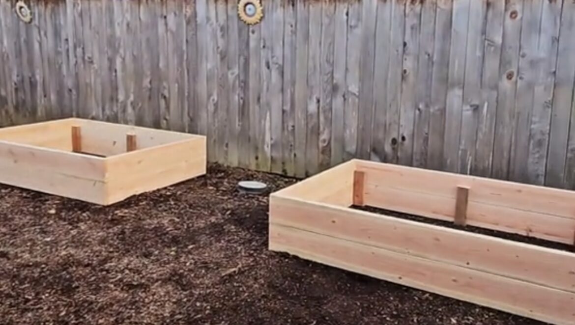 One gardener's incredible backyard transformation revealed beautiful galvanized garden beds and lush greenery.