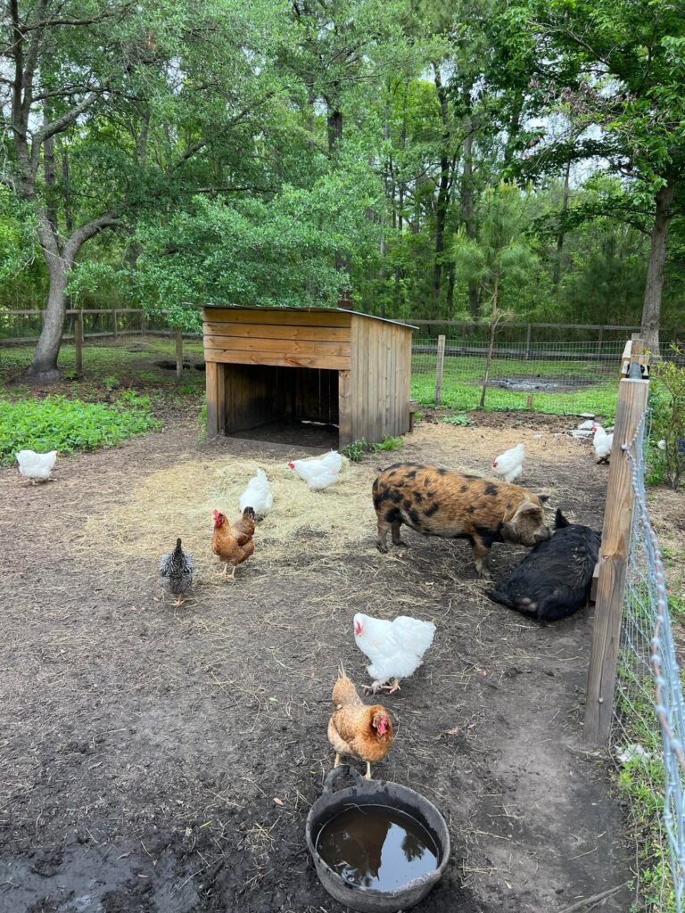 2025 Homestead Progress