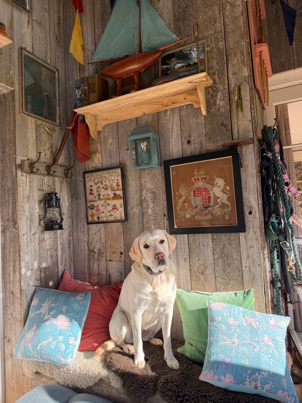 ben fogle's cosy winter garden room