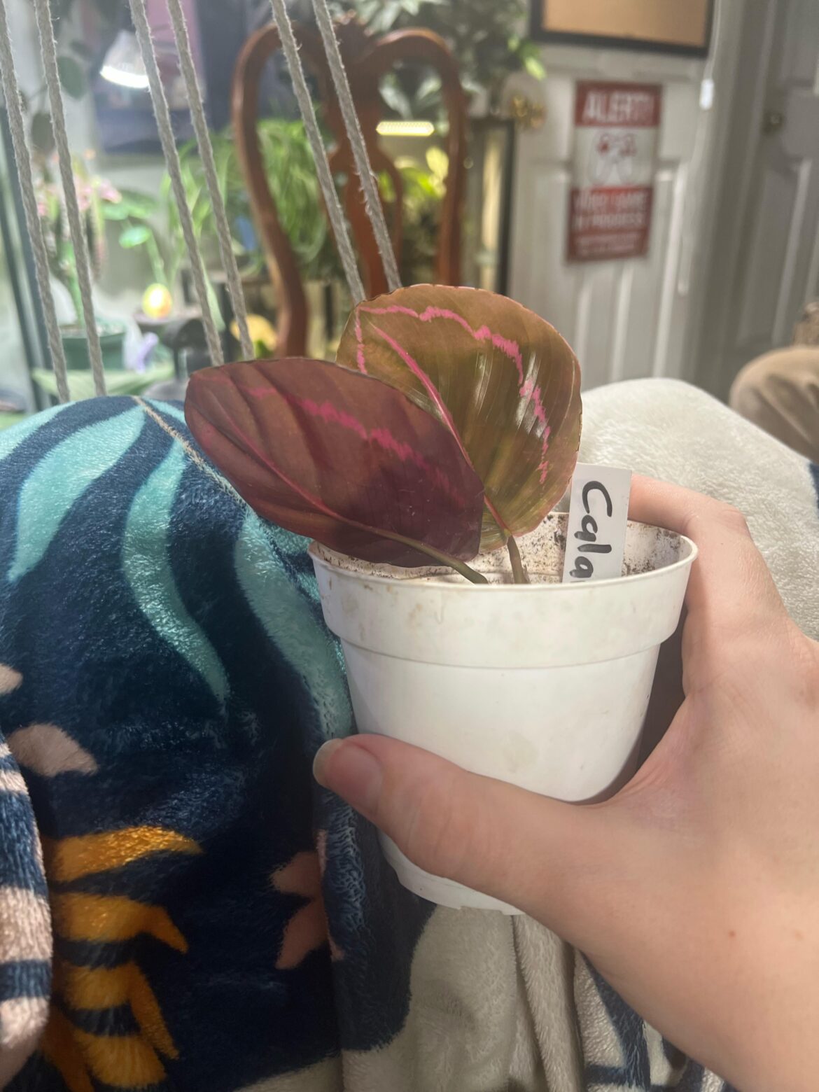 He’s hanging on for dear life 🤧