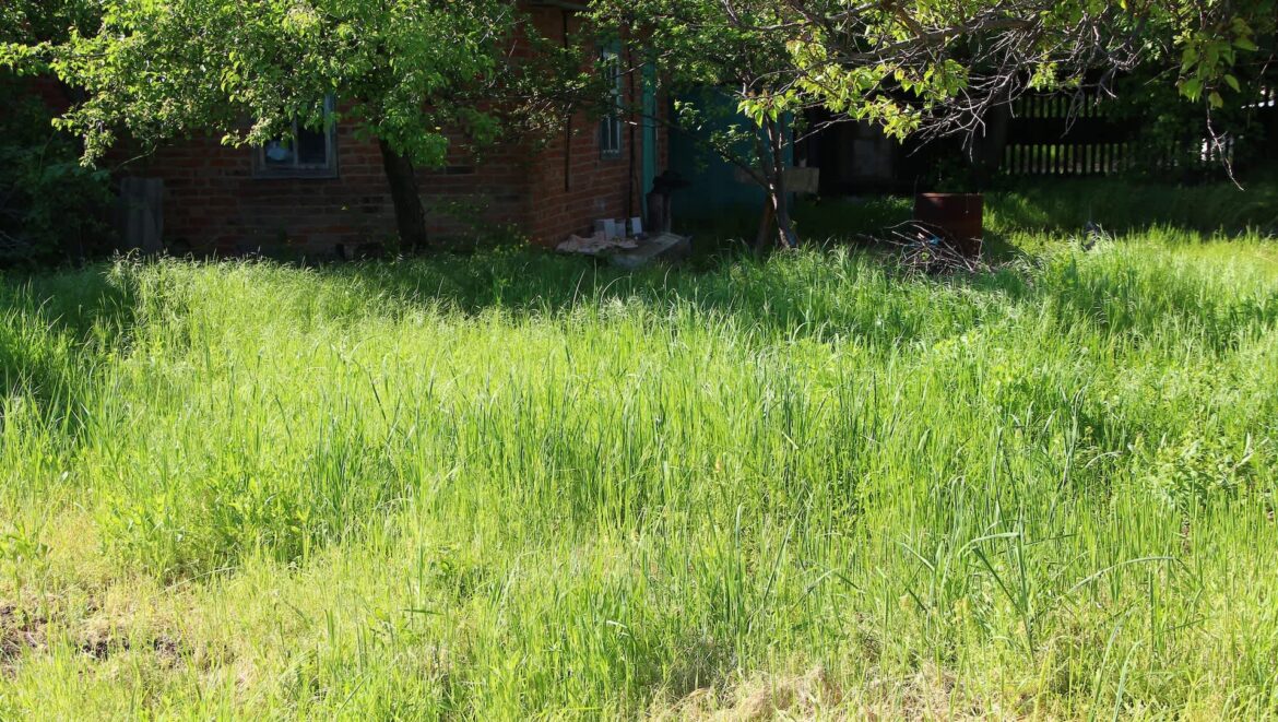 Homeowner distraught after landscaping problem spirals out of control: ‘A bloody nightmare’ Bindweed is an invasive plant species that's native to Europe and Asia. It's a common garden nuisance that spreads fast and is tough to get rid of.