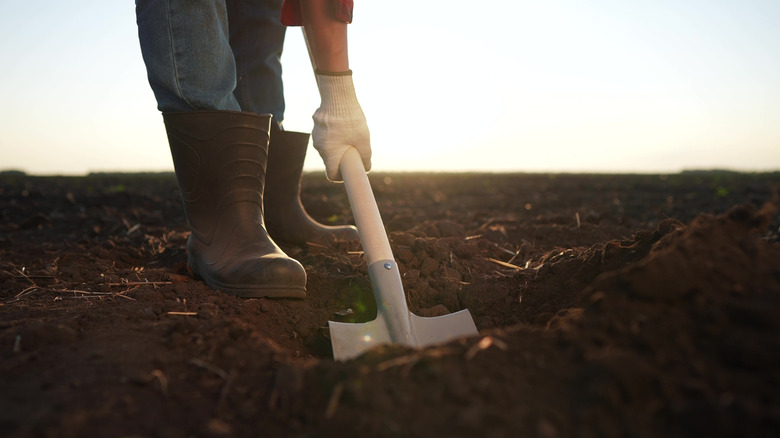 Gardener digging in the soil