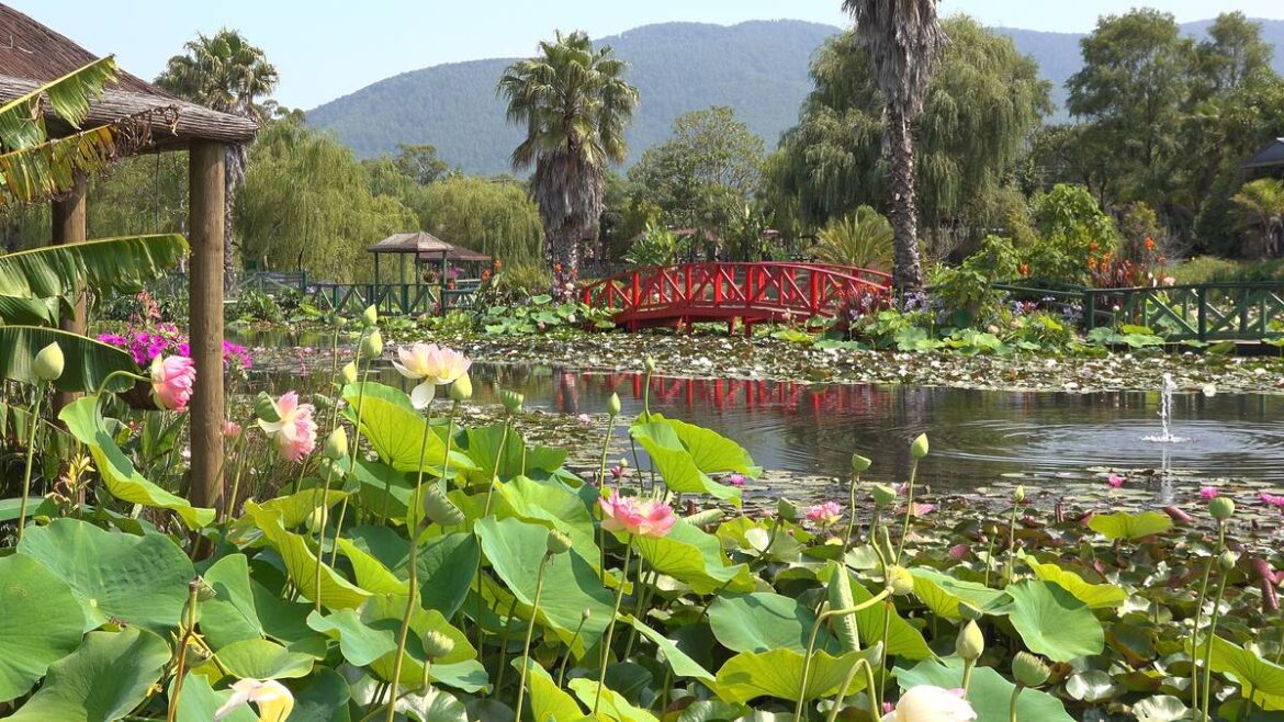 This Enchanting Garden 90 Minutes Away From Melbourne Has Monet's Original Waterlilies — And Kids Under 15 Can Visit For Free