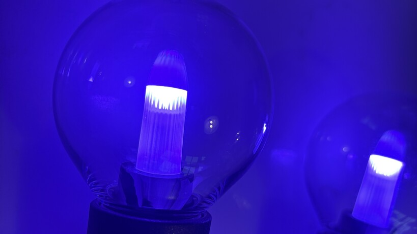 Philips Hue Festavia Globe Outdoor String Lights Review purple light