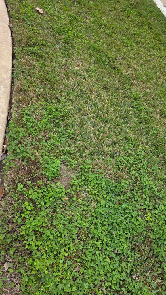 How to impact in-law-n in 3 days