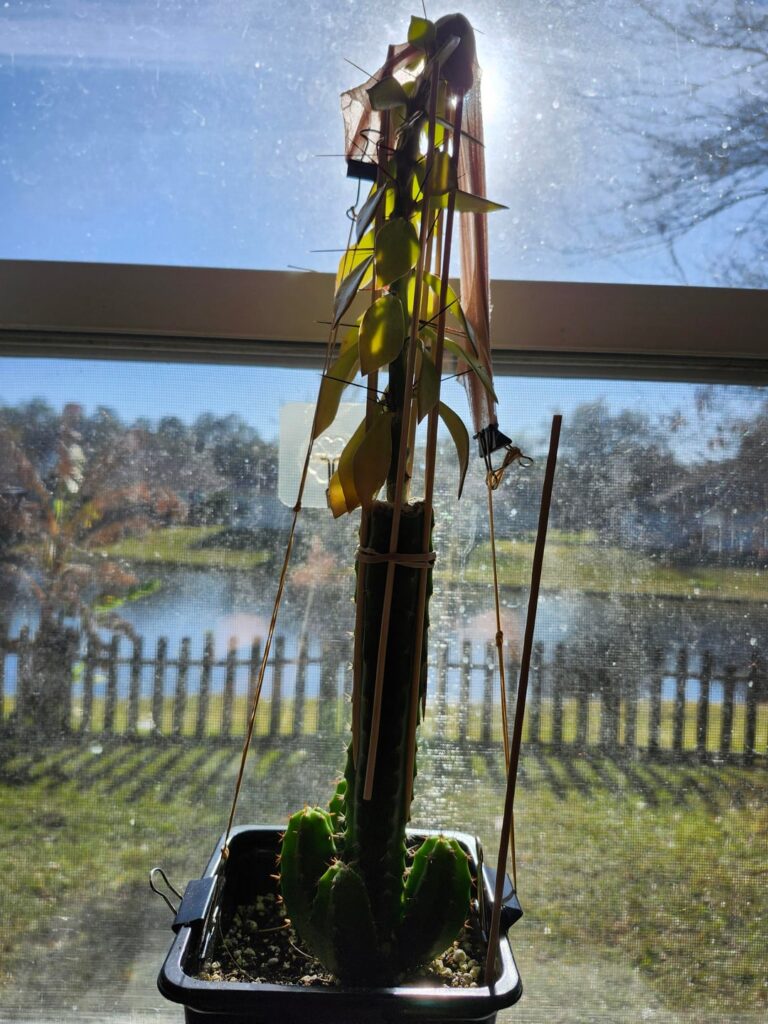 I put my load planning skills to good use here.