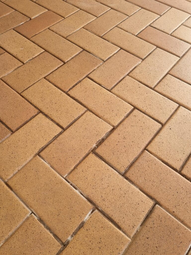 What can I put in these pavers joints? What can I put in these pavers joints?