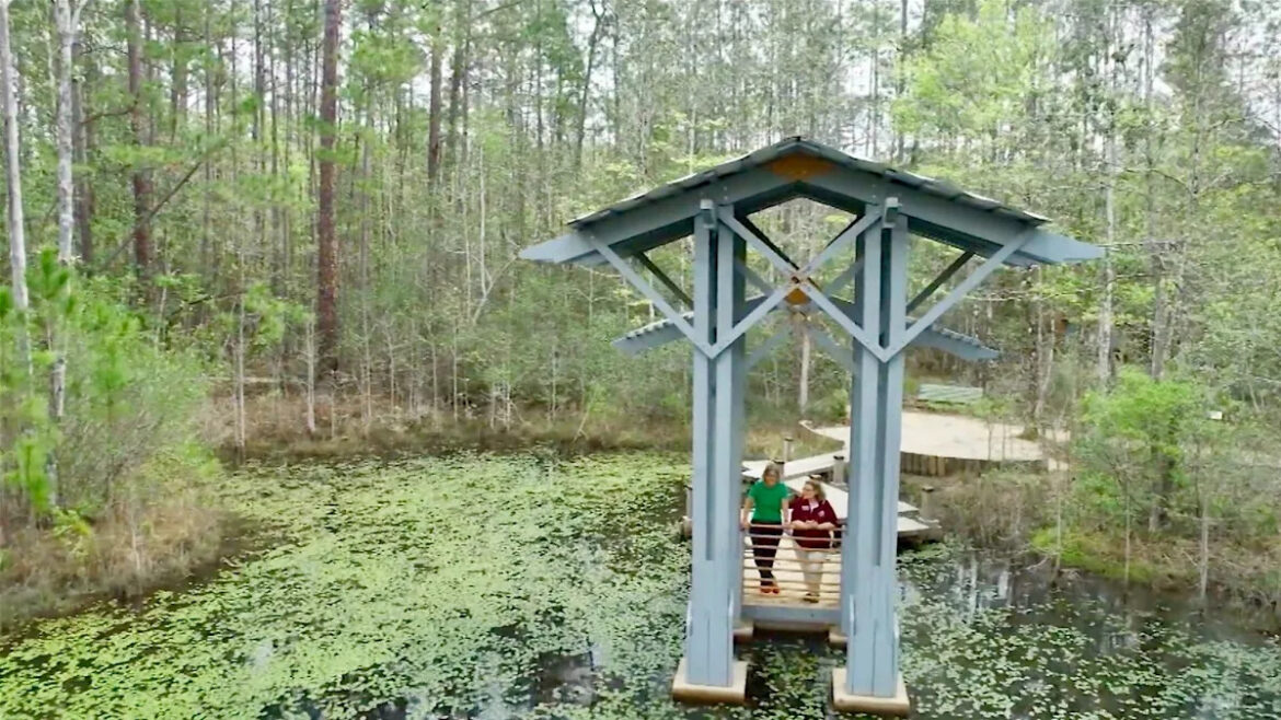 Yahoo lifestyle home