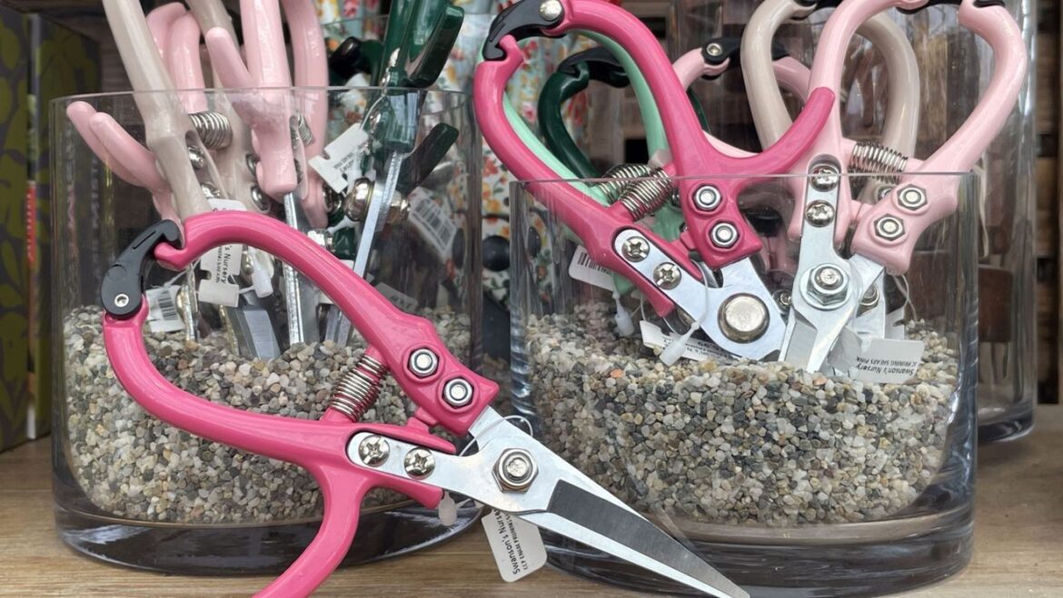 Shop these PNW nurseries for the gardener in your life KOMO