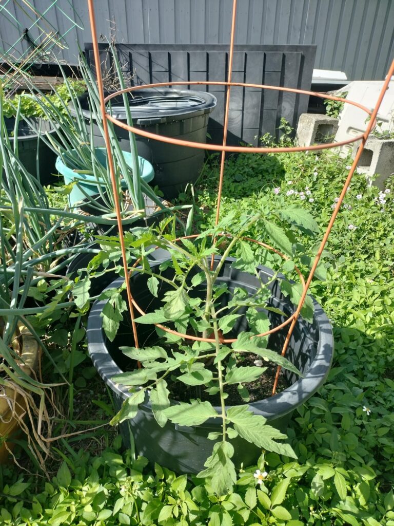 How do cross pollinate these two.