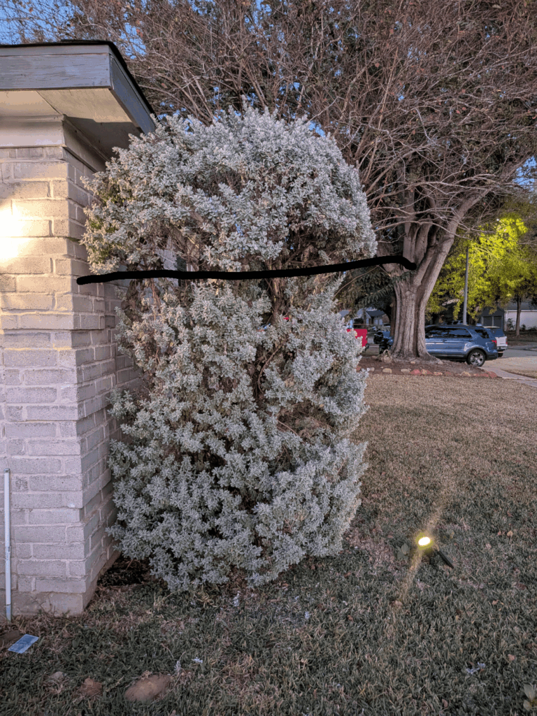 Am I okay to cut straight across this thing?