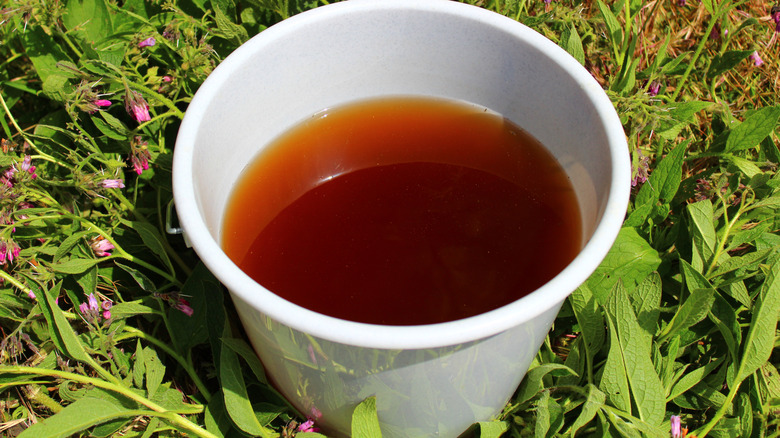 Comfrey fertilizer in a bucket