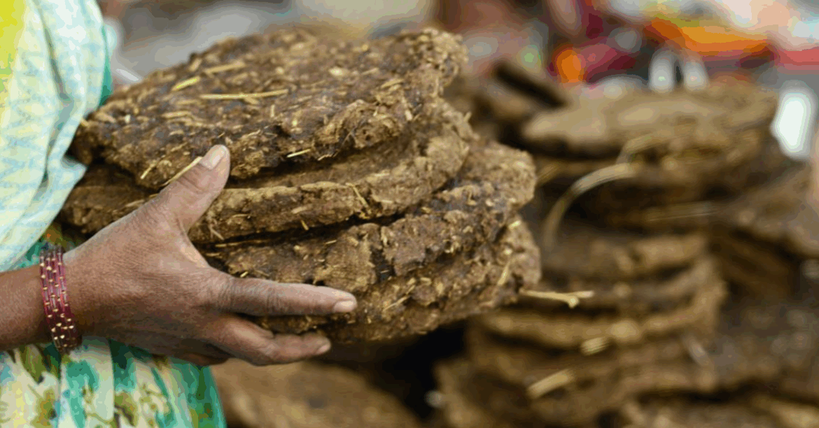 Indian Farming Traditions Urban Gardeners Should Know Indian Farming Traditions Urban Gardeners Should Know