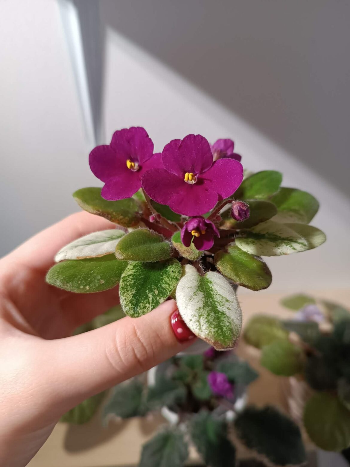 Soil mix question Soil mix question