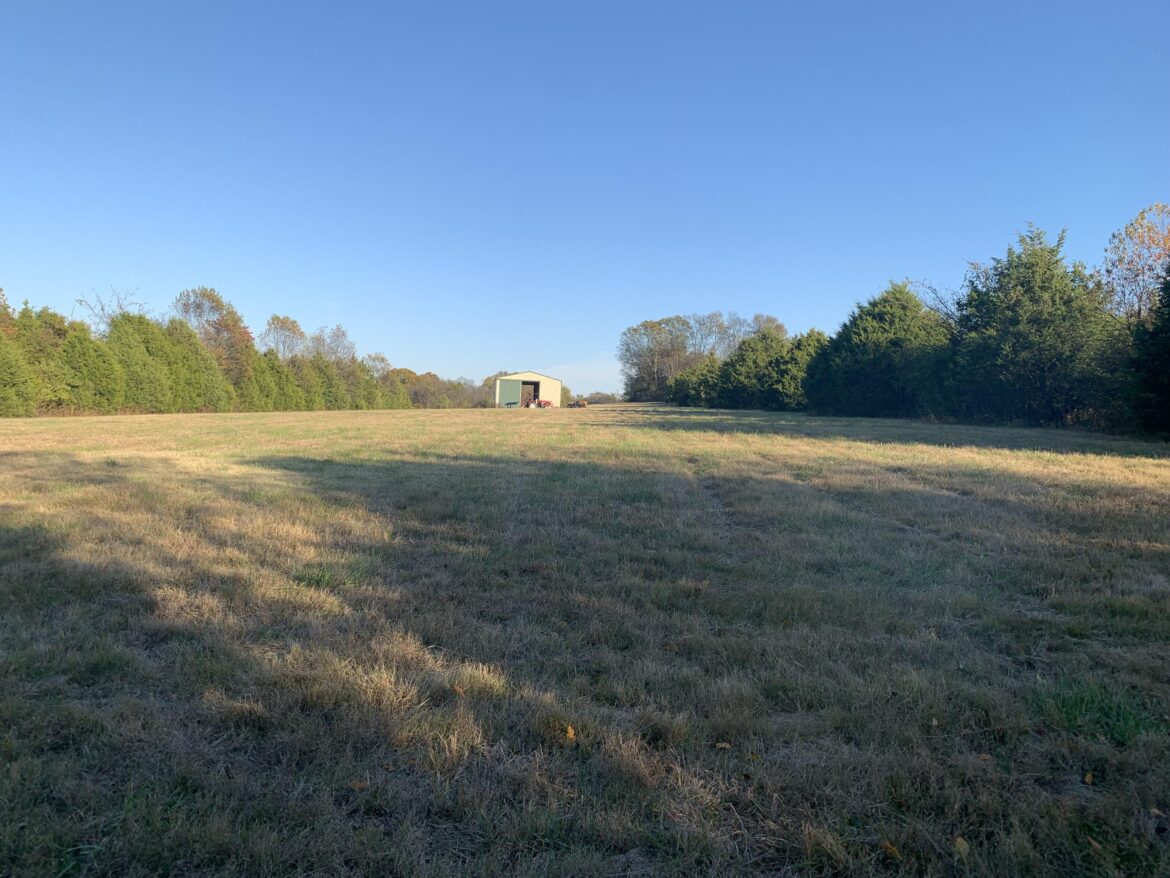 New house new 5 acres where to start?!