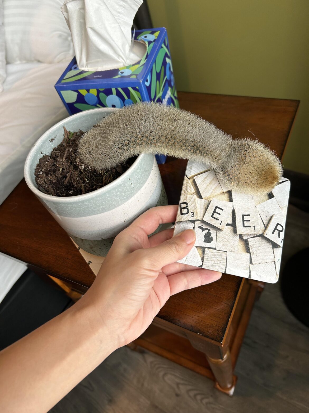 Please tell me it’s not dead