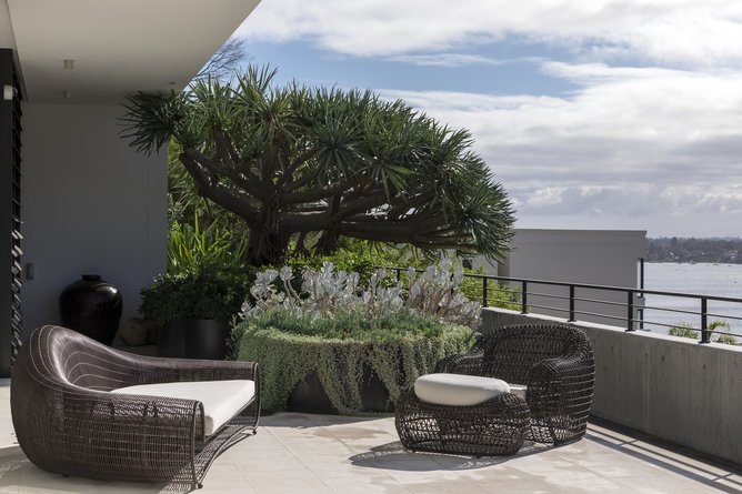 A terrace designed by TDL at a Mosman Park home.