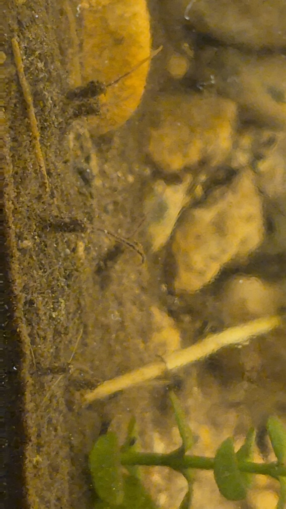 Whats happening here