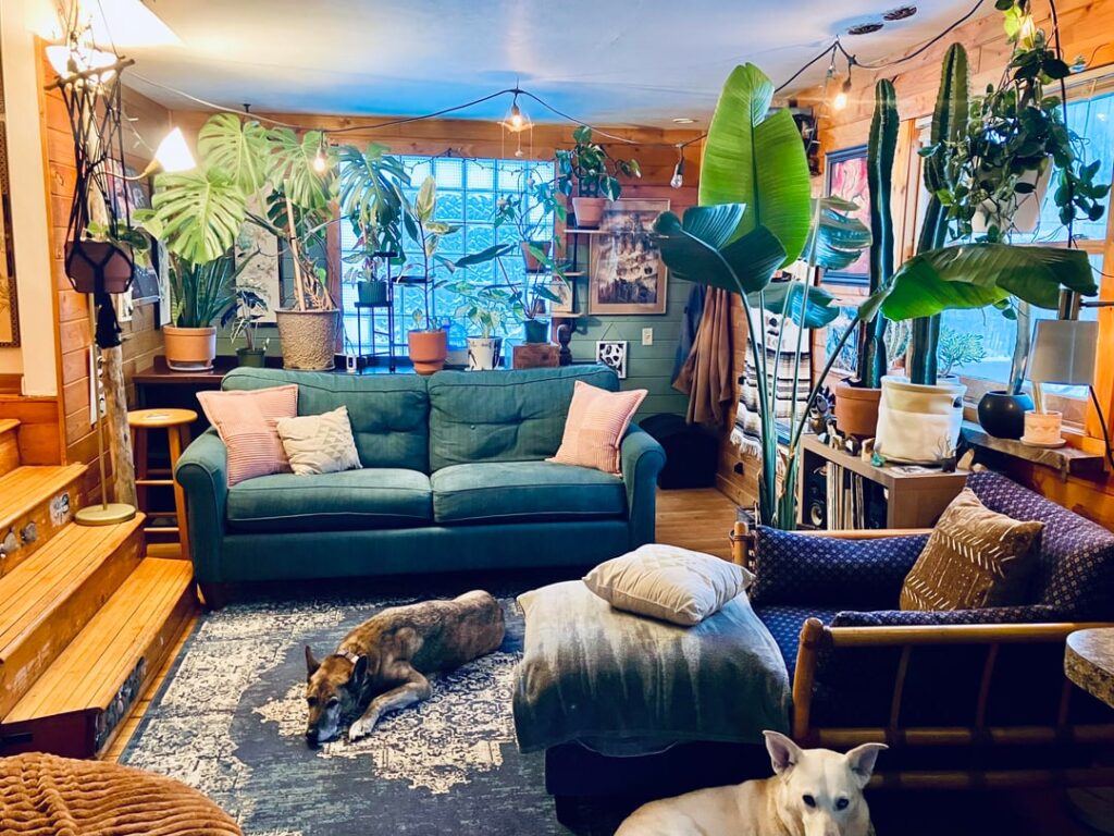 I was told by folks on r/interiordecorating that my plants made my house look like a “clutterbox” and that I needed to “purge” 🥲