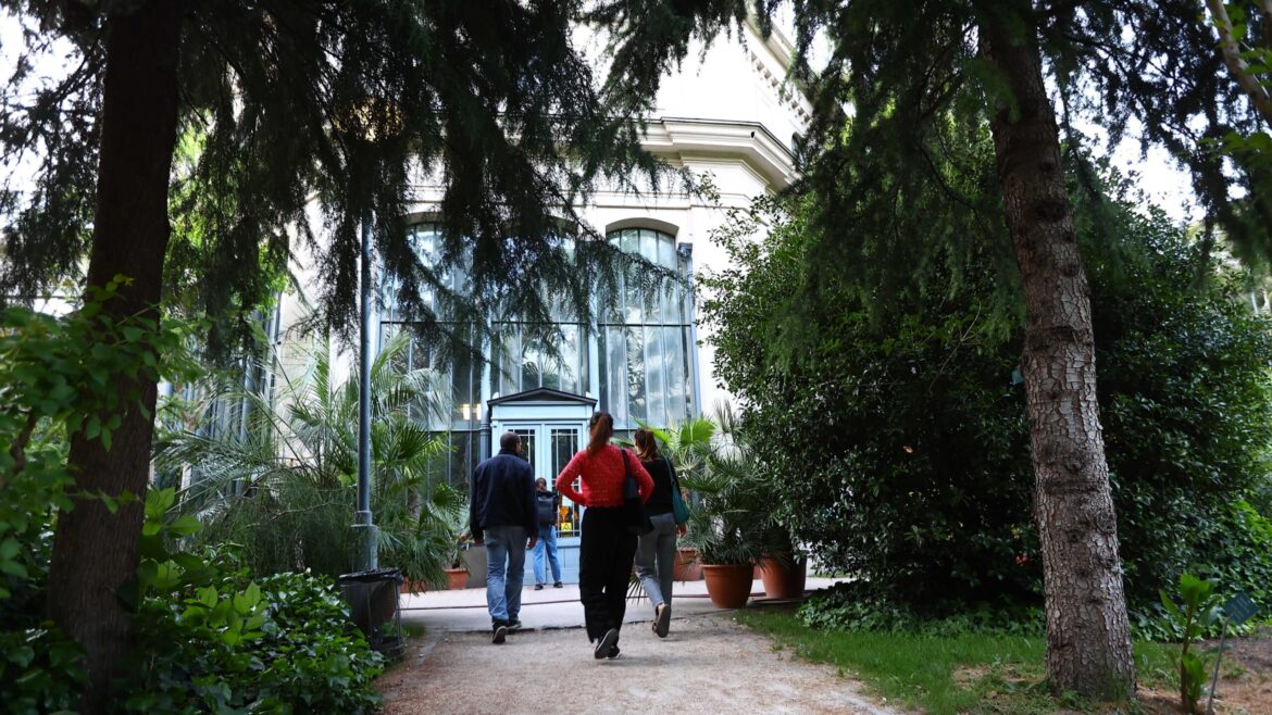 Blue Planet Podcast Reveals Why Cities Need Botanical Gardens More than Ever Blue Planet Podcast Reveals Why Cities Need Botanical Gardens More than Ever