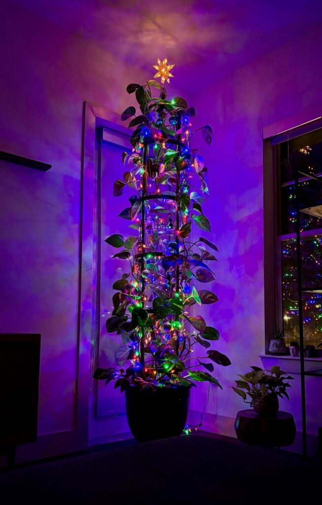 Merry Christmas & Happy Holidays from my 8ft Pothos