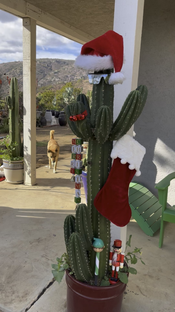 Festivus for the rest of us !!!