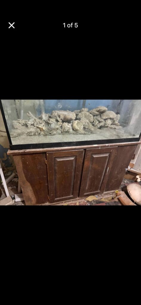 Island-style layout discussion and inspo