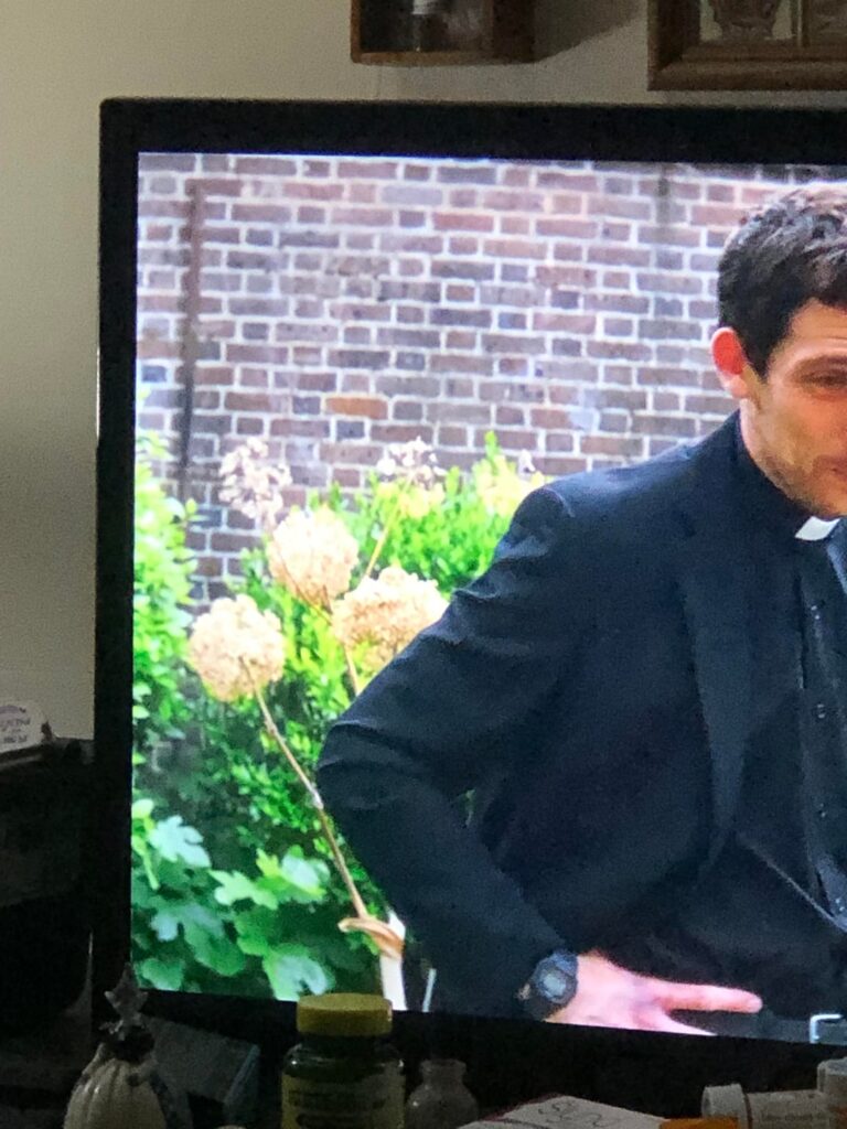 Tall plant behind character in movie