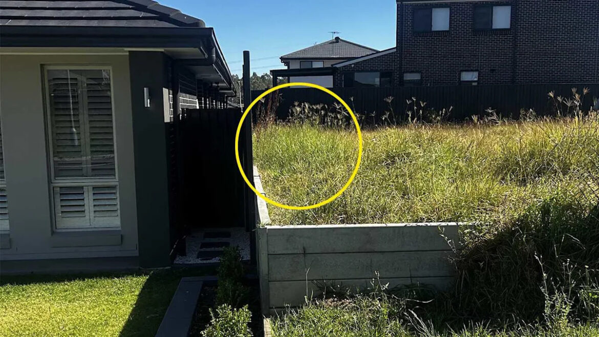 Aussie mum 'constantly on edge' as council ignores scary detail in neighbour's garden