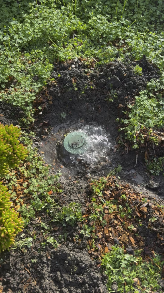 My sump pump is pumping a lot of groundwater out of my crawlspace today. Anyone know how I should deal with this?