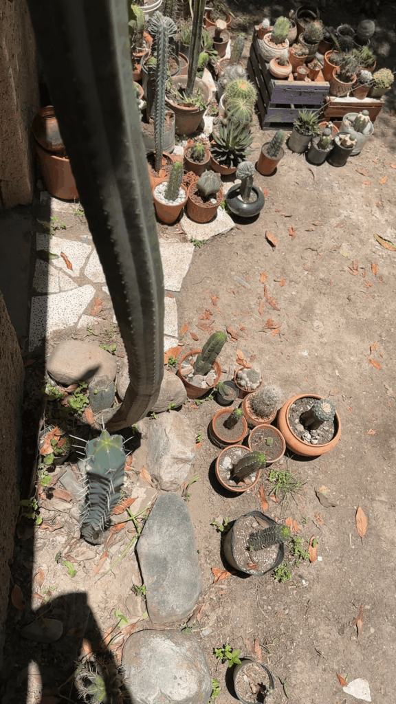 Good Morning! ☀️