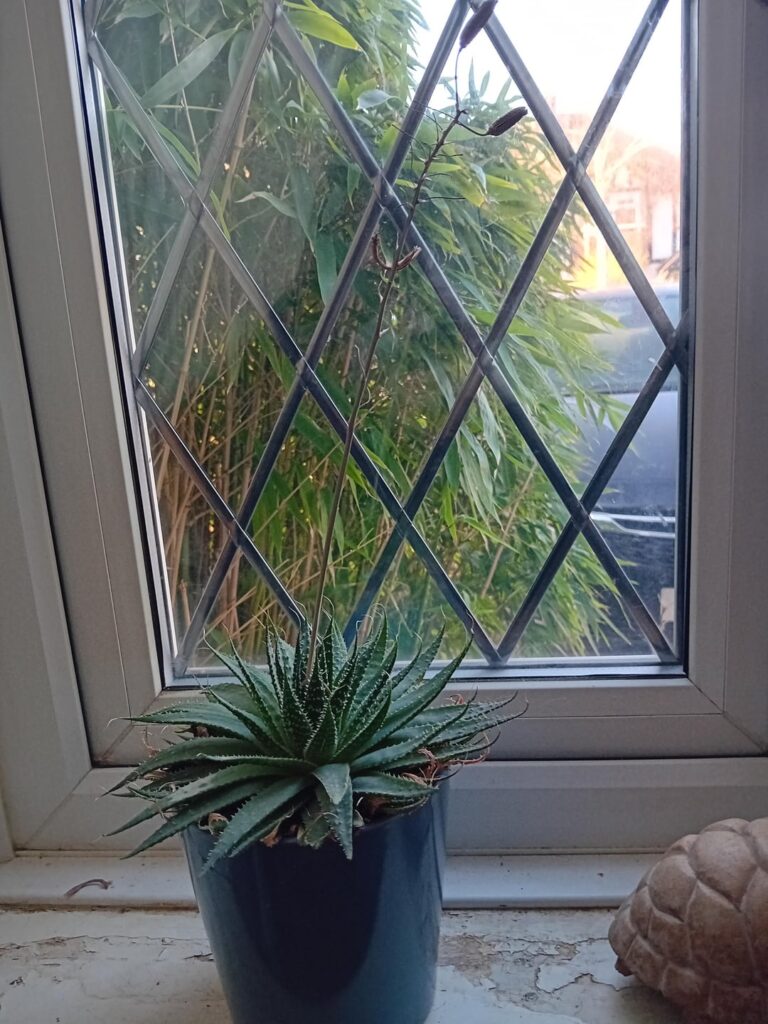 Any idea what this is?