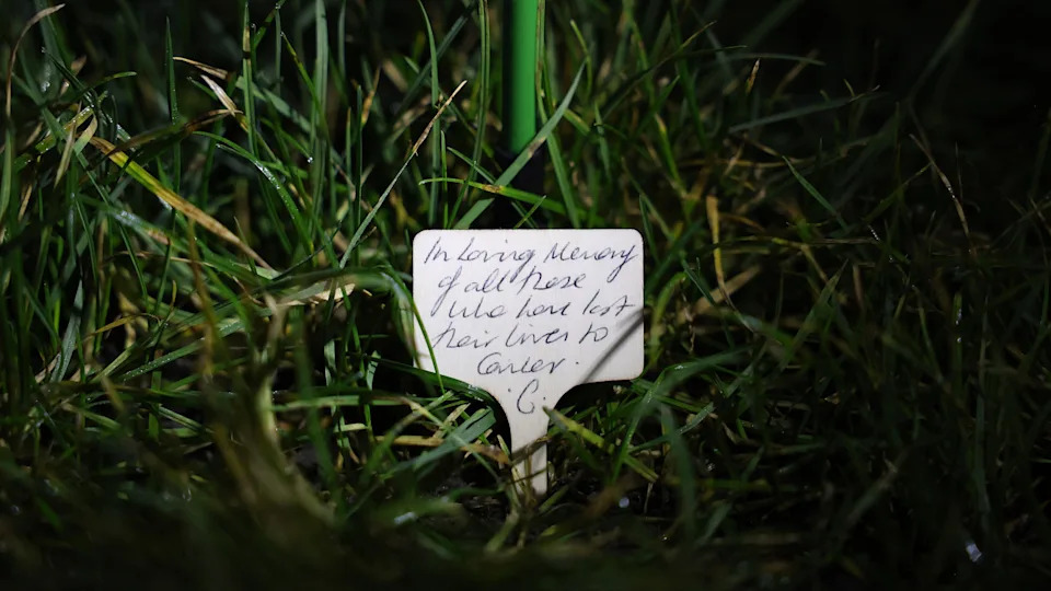 The Princess of Wales donated a rose herself. <span> Credit: Toby Shepheard / Kensington Palace</span>