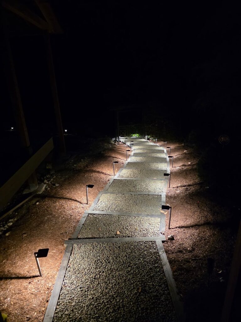 Decided to build some steps